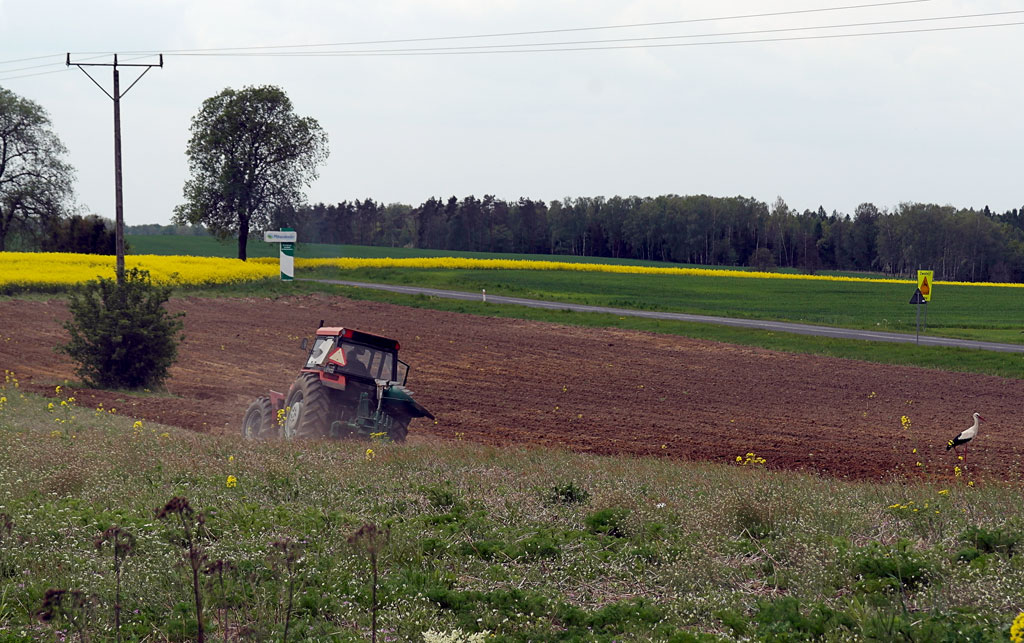 Traktor und Storch